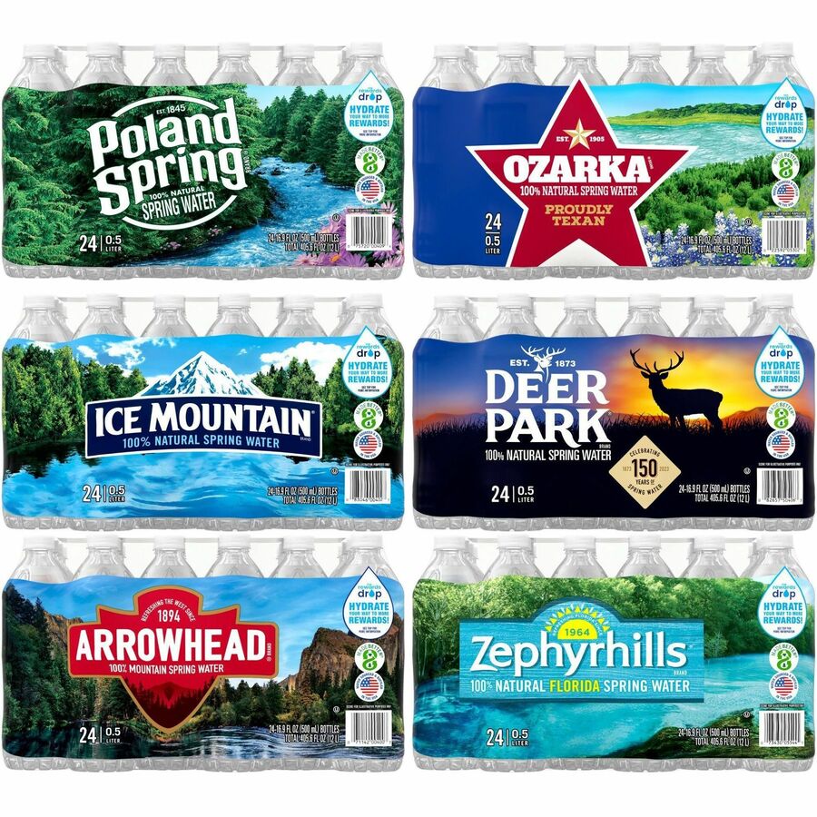 Primo Brands Premium Bottled Spring Water - Ready-to-Drink - 16.91 fl oz (500 mL) - 24 / Carton