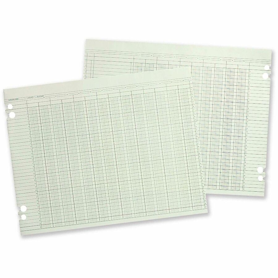 Wilson Jones 20-Column Ruled Sheets - 24 lb - Double Sided Sheet - Ledger - 11.88" x 9.25" Sheet Size - 4 x Holes - 20 Columns per Sheet - Green Sheet(s) - Brown, Green Print Color - Paper - 100 / Pack