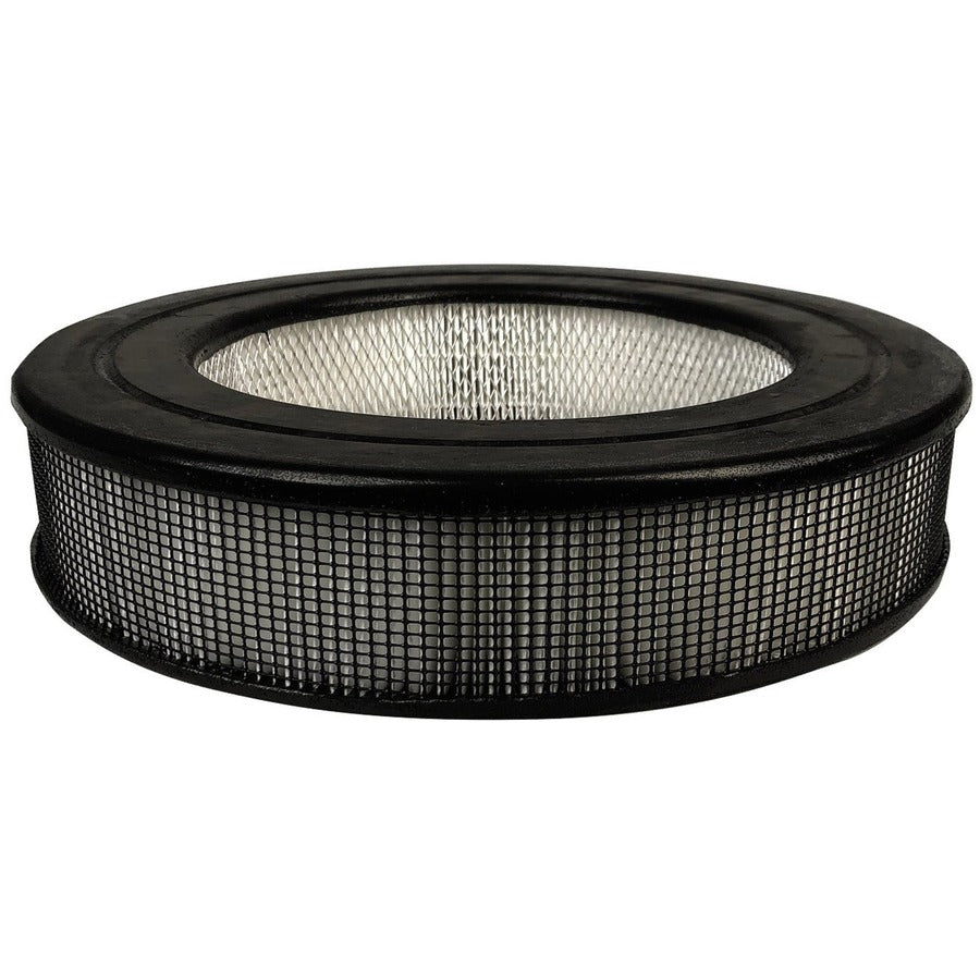 Honeywell True HEPA Replacement Filter - For Air Purifier - 1