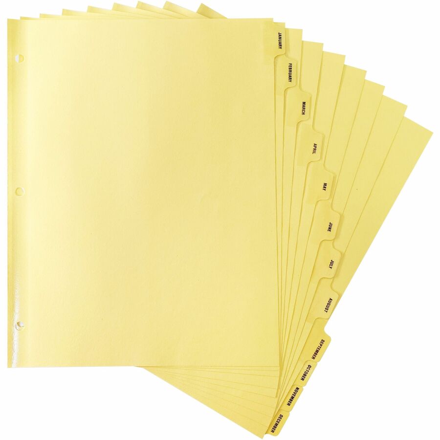 Business Source Monthly Clear Plastic Tab Index Dividers - Printed Tab(s) - Month - January-December - 12 Tab(s)/Set - 8.5" Divider Width x 11" Divider Length - Letter - 3 Hole Punched - Buff Buff Paper Divider - Buff Plastic Tab(s) - 1 Set