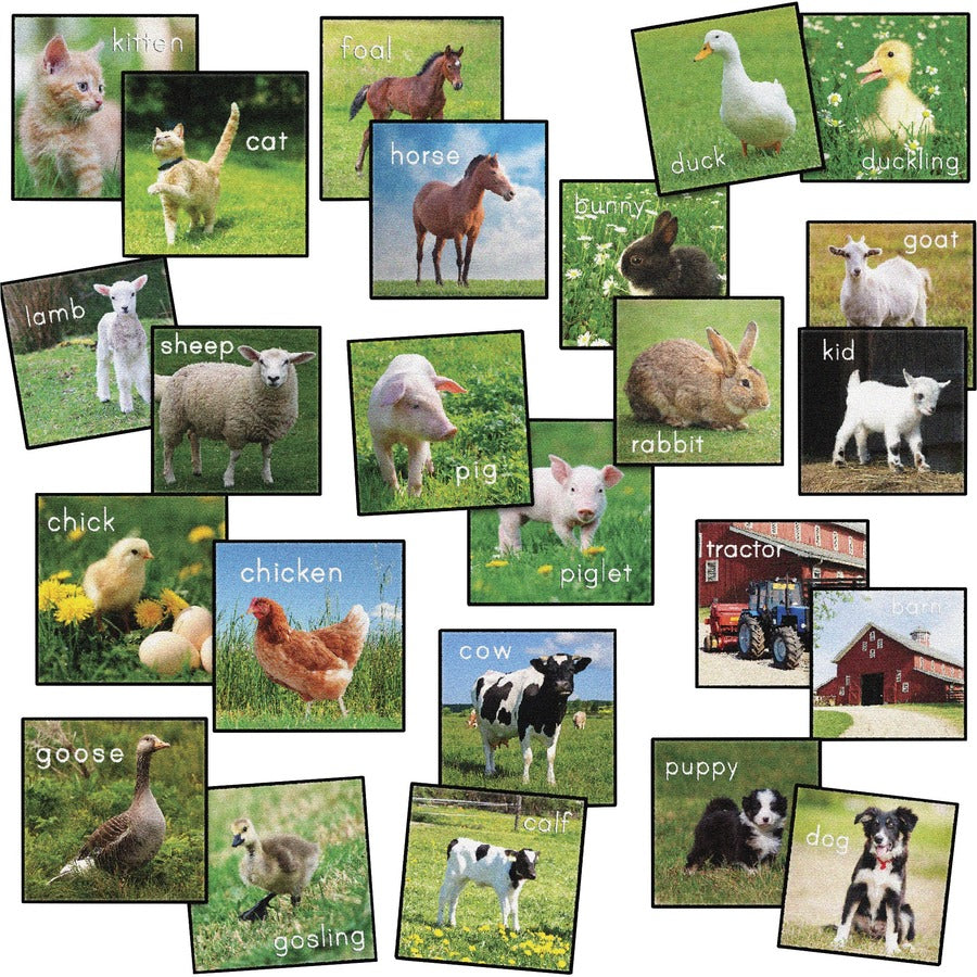 Flagship Carpets Barnyard Classroom Seat Squares - Floor Rug - 16" Length x 16" Width x 0.50" Thickness - Square - Multicolor - Yarn
