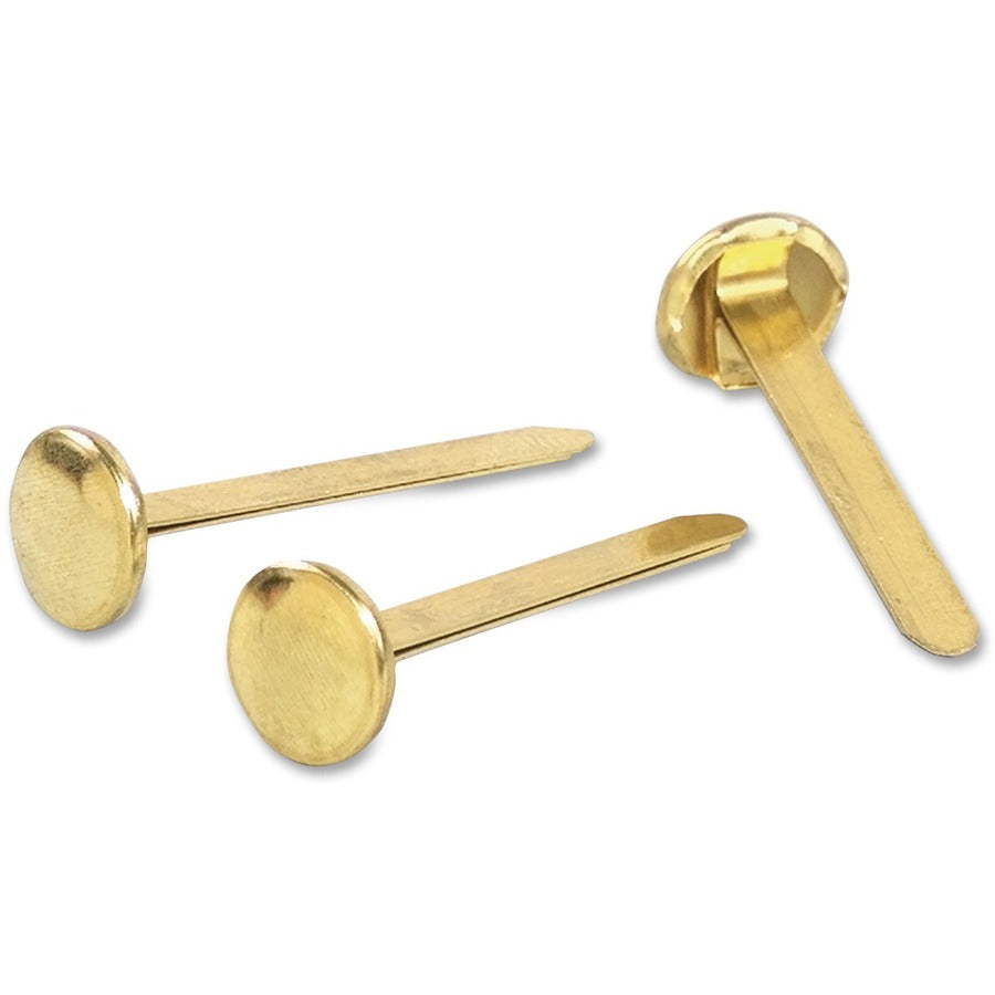 ACCO Solid Brass Round Head Fasteners - 1.25" Shank - 0.5" Diameter - Brass - Brass - 100 / Box