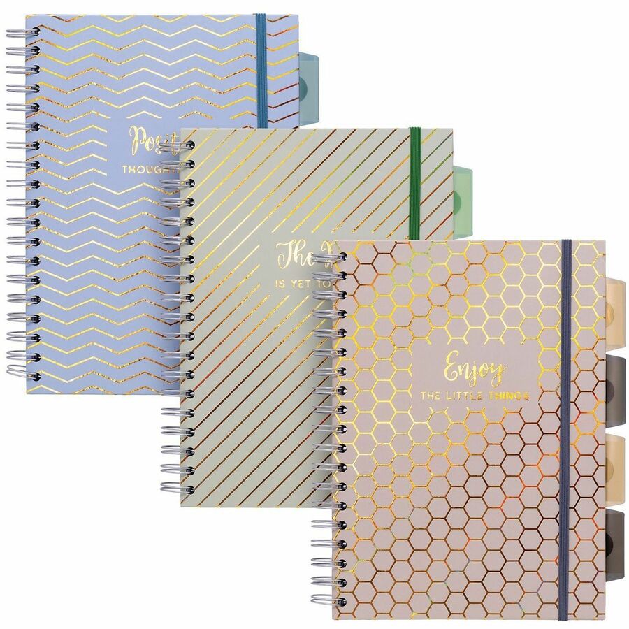 Pukka Pads Haze Notebook - 100 Sheets - 200 Pages - Twin Wirebound - 80 g/m², Grammage - Clear Poly, Transparent Cardboard Cover - Repositionable Divider, Storage Pocket - 3 / Pack