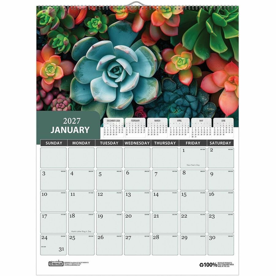 House of Doolittle Recycled Succulent & Cacti Wall Calendar - Monthly - 12 Month - January 2027 to December 2027 - 1 Month Single Page Layout - 11" x 14" Sheet Size - 2" x 1.40" Block - Wire Bound - Wall Mount - Multi - Paper - 1 Each