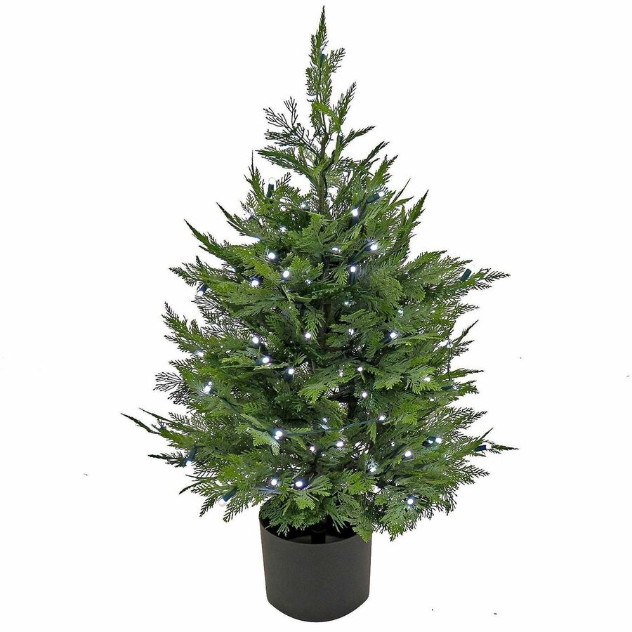 National Tree Cypress Topiary Tree - Cypress - Topiary - Pot1 Each