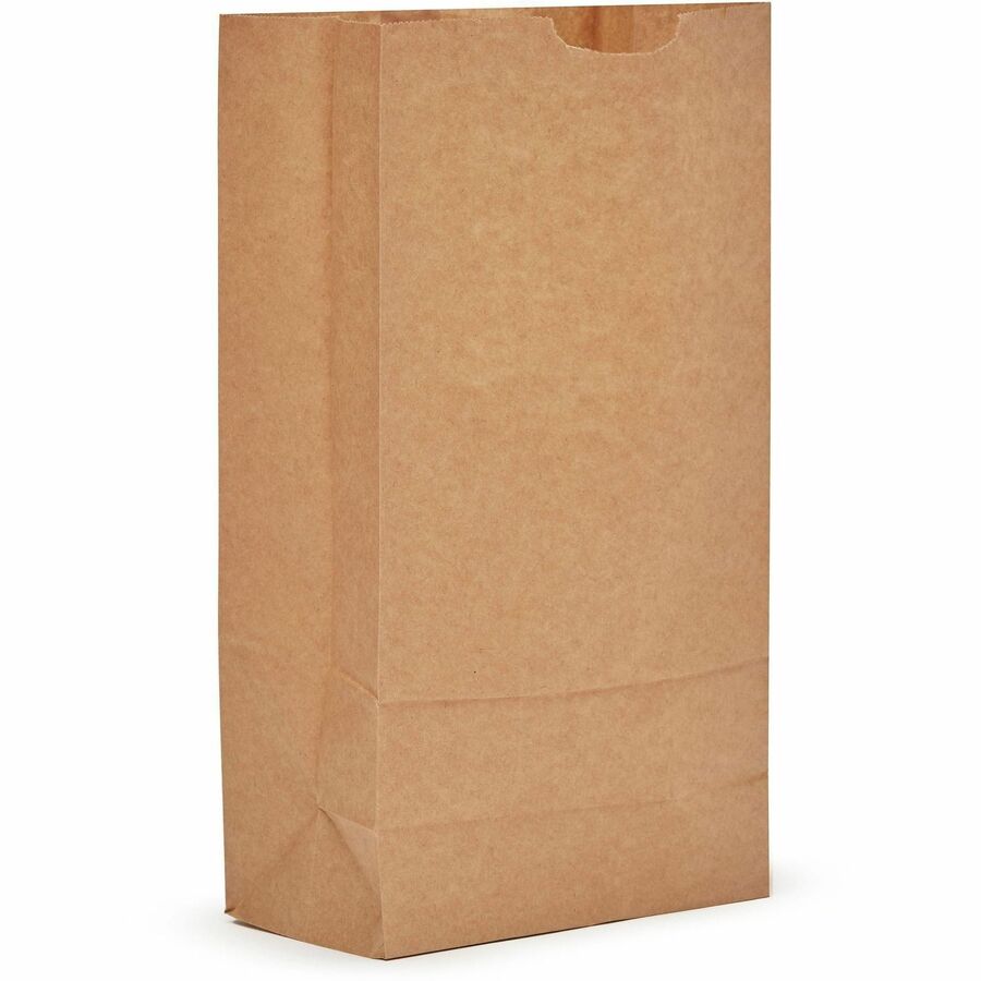 AJM #10 Kraft Paper Grocery Bags - #10 - Natural Kraft - Paper - Grocery, Supplies - Recycled - 500 / Carton