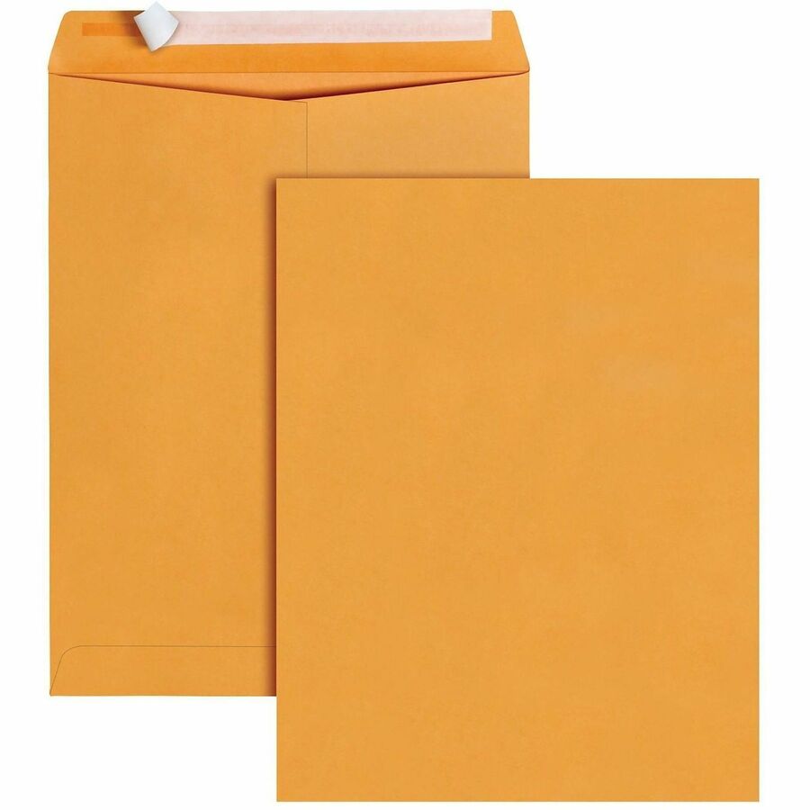 Business Source Kraft Peel-and-Stick Catalog Envelopes - Catalog - 10" Width x 13" Length - Peel & Stick - Brown - Kraft Paper - 100 / Box