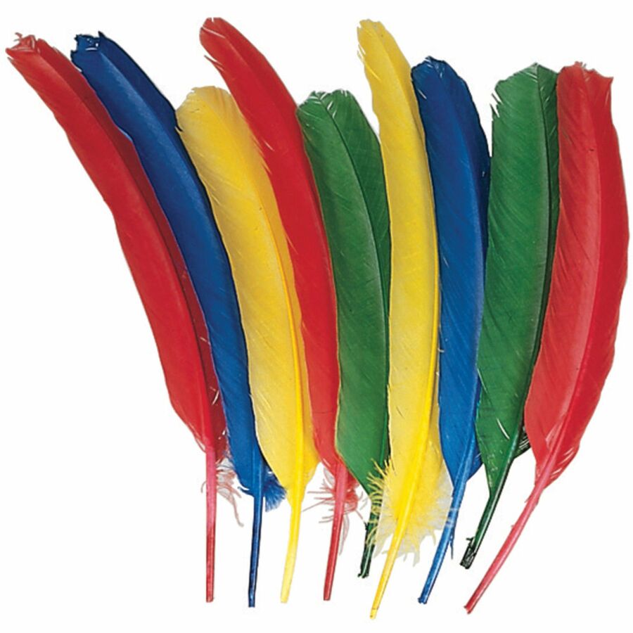 Creativity Street Quill Feathers - Multipurpose - 24 Piece(s) - Multicolor - 24 / Pack