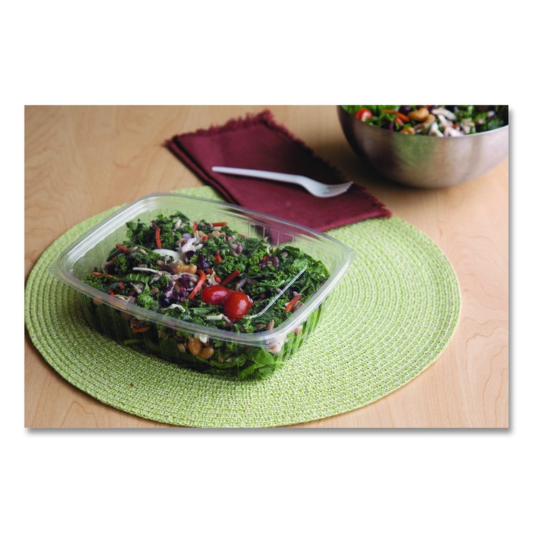 Renewable and Compostable Rectangular Deli Containers, 48 oz, 8 x 6 x 2, Clear, Plastic, 50/Pack, 4 Packs/Carton
