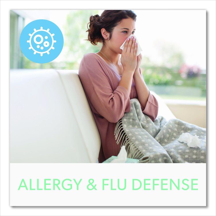 True HEPA and Allergy Replacement Filters for TruSens Air Purifiers Z-3000, Z-3500, 8.2 x 8.3