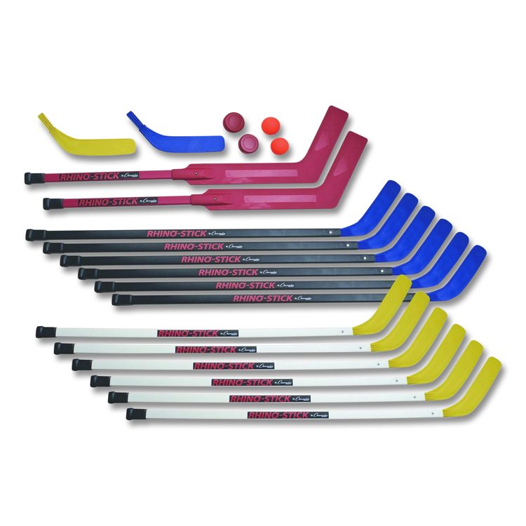 Indoor ABS Floor Hockey Set, 2 Pucks, 14 Sticks
