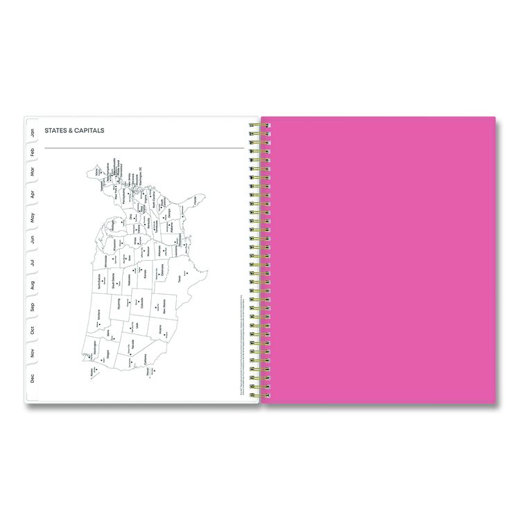 Fly By Frosted Weekly/Monthly Planner, Butterflies Artwork, 11 x 8.5, Blush/Pink Cover, 12-Month (Jan to Dec): 2026