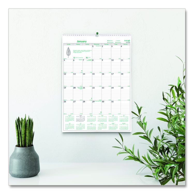 EcoLogix Monthly Wall Calendar, EcoLogix Artwork, 12 x 17, White/Green Sheets, 12-Month (Jan to Dec): 2026