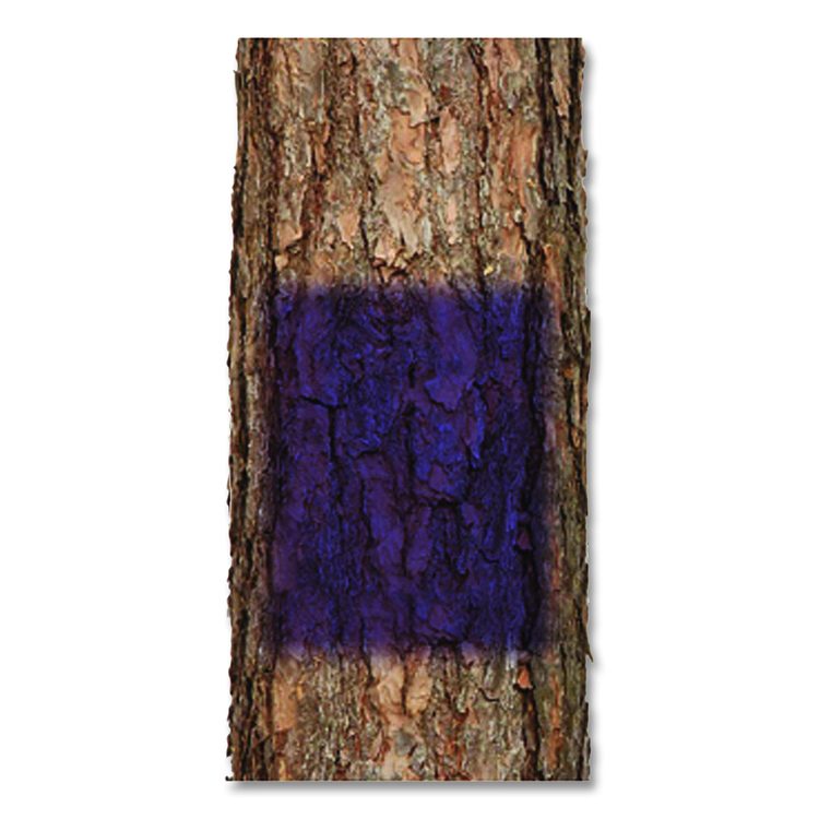 Specialty No Hunting Purple Spray Paint, Flat No Hunting Purple, 12 oz Aerosol Can, 6/Carton