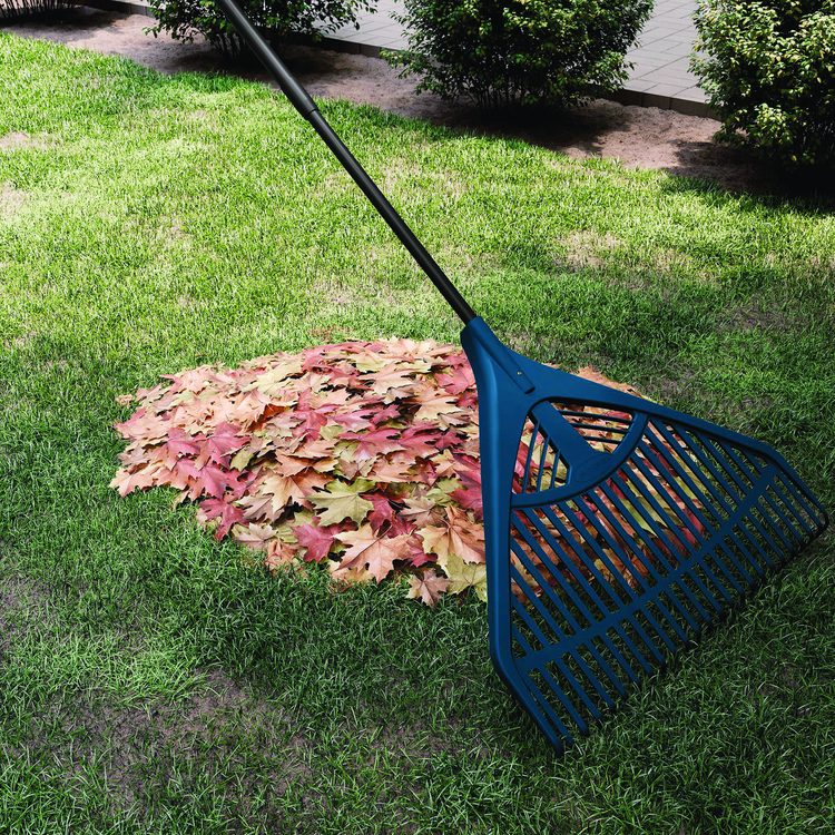 24" Telescoping Rake, 24" Width, 47.5" to 66" Length