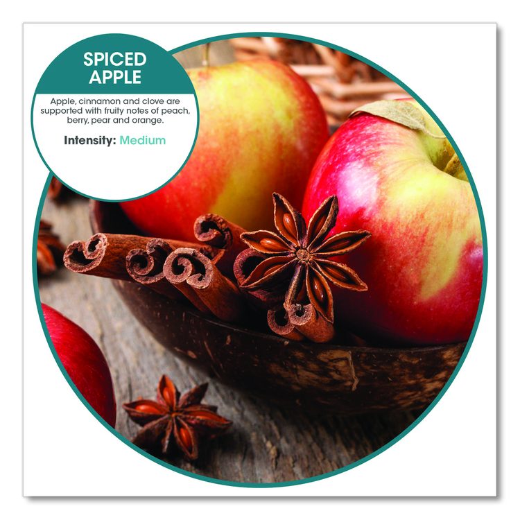 ourfreshE Refills, Spiced Apple, 6/Box
