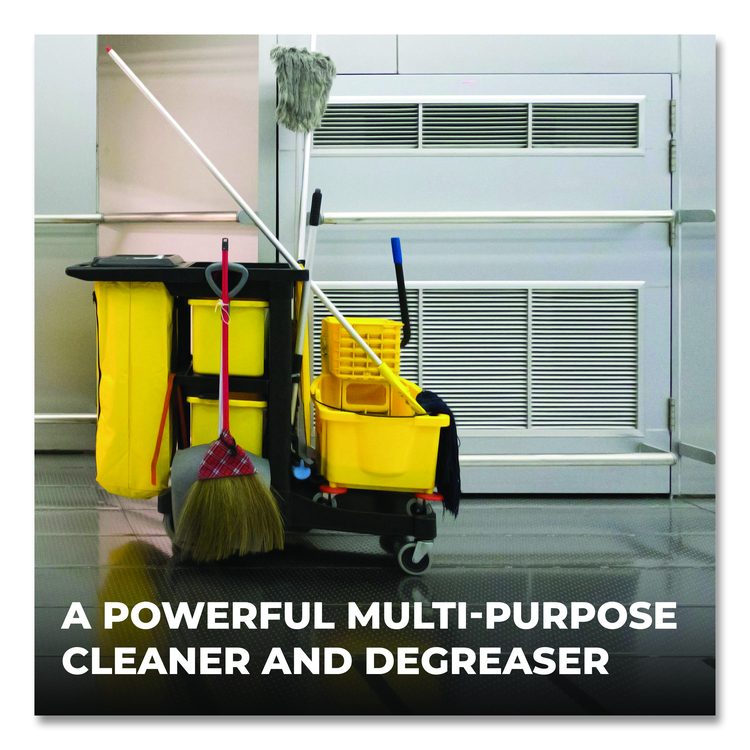 Clean Building All-Purpose Cleaner Concentrate, Unscented, 1 gal Bottle, 2/Carton