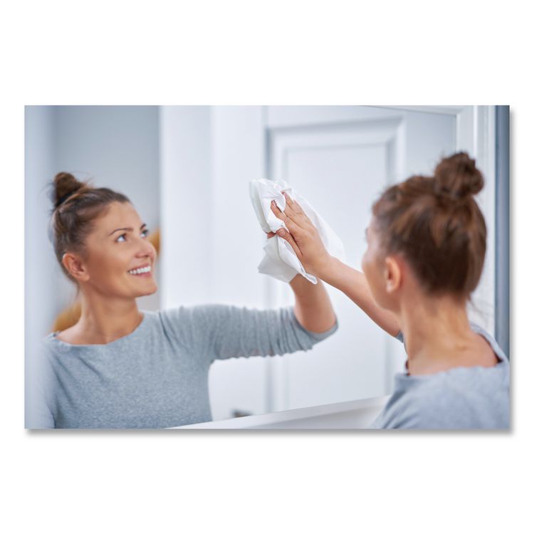 Heavy-Duty Glass Cleaner, 19 oz Aerosol Spray, 12/Carton