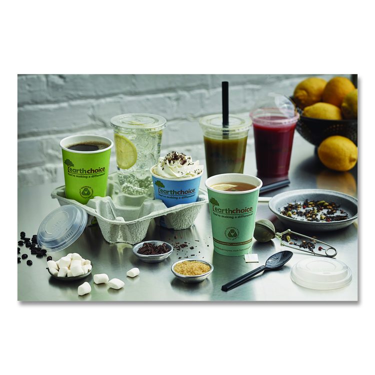 EarthChoice Strawless RPET Lid, Flat Lid, Fits 9 oz to 20 oz "A" Cups, Plastic, Clear, 1,020/Carton