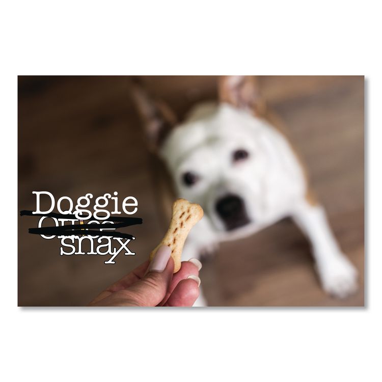 Doggie Biscuits, Assorted, 4 lb Bag