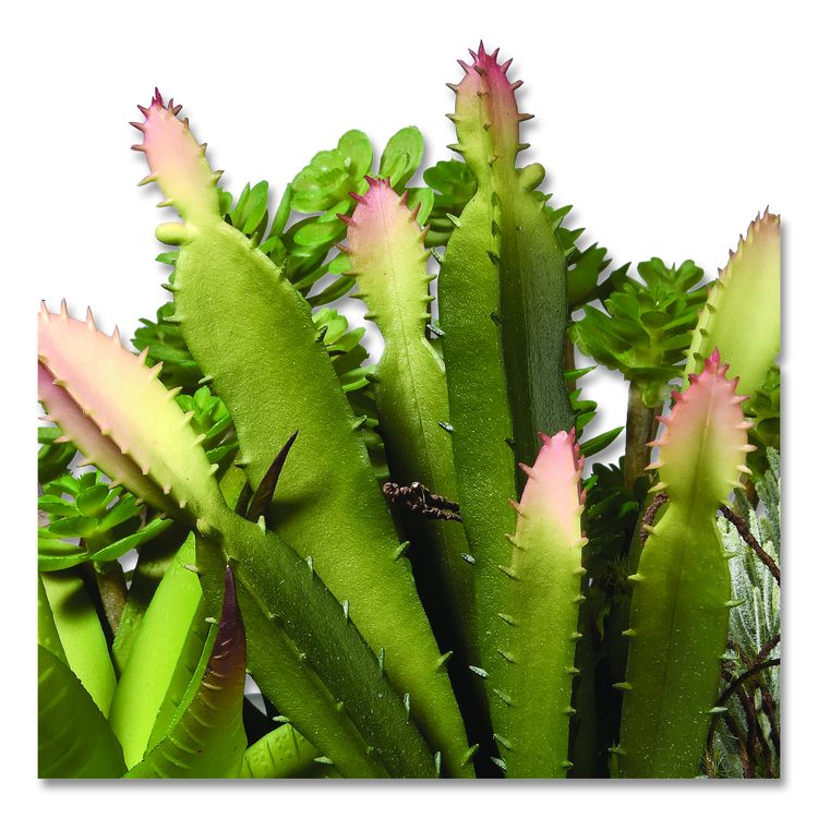 Spring Potted Plant, 8" x 8" x 8", Green Plant, White Pot