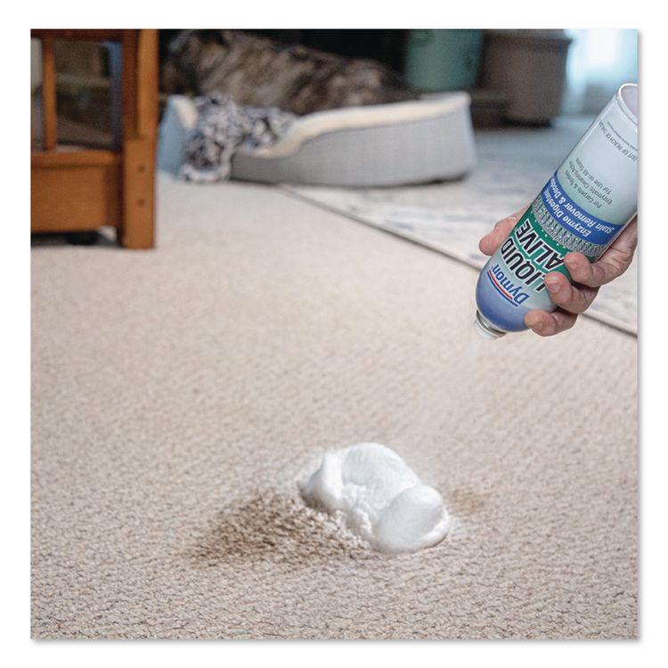 LIQUID ALIVE Enzyme Digestant Carpet and Textile Cleaner/Deodorizer, 18 oz Aerosol Spray, 12/Carton
