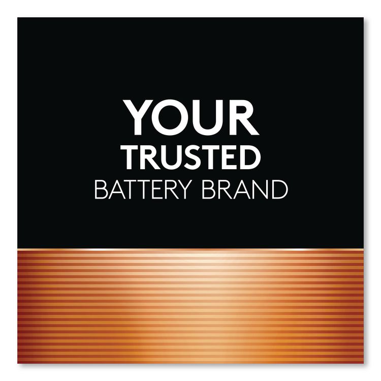 POWER BOOST Coppertop Alkaline AA Batteries, 20/Pack