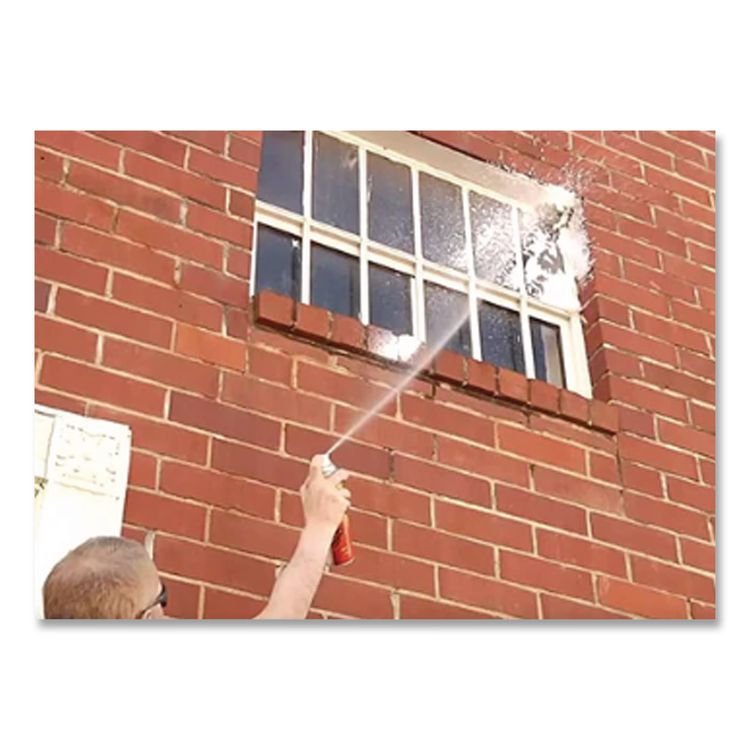 Wasp and Hornet Spray, 16 oz Aerosol Spray, 12/Carton