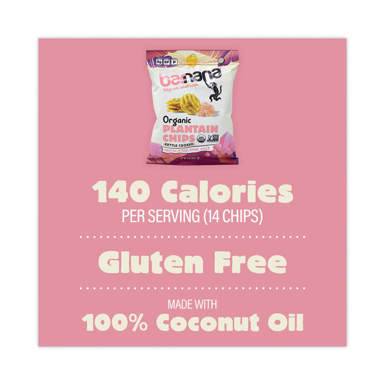 Himalayan Pink Sea Salt Plantain Chips, 2 oz Bags, 12/Pack