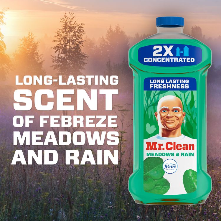 Multipurpose Cleaning Solution with Febreze, Meadows and Rain Scent, 64 oz Bottle