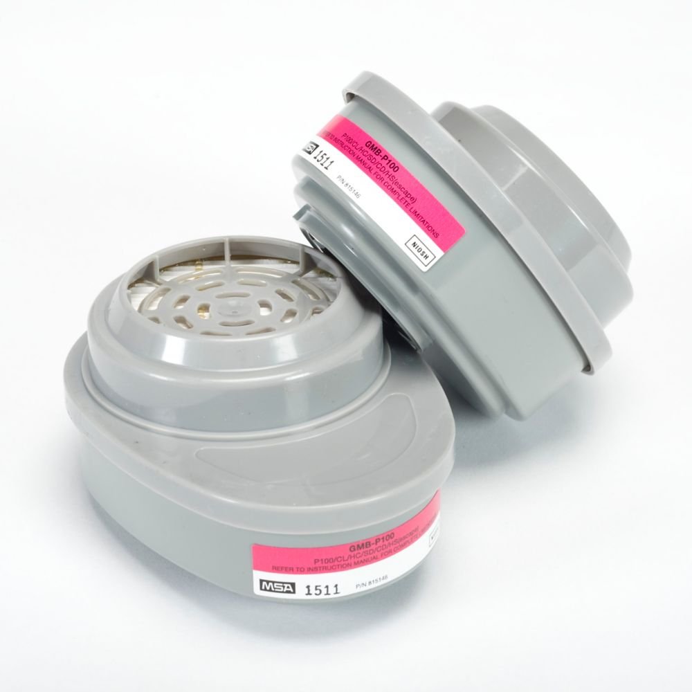MSA (2EA/PKG) Cartridges Advantage GMB-P100 (Pack)