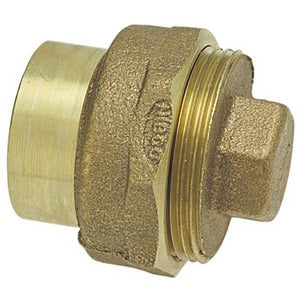 1-1/2 Dwv Cast Ftgxc Co W/Plug