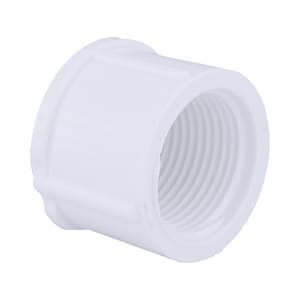 3/4 Pvc S40 Thrd Cap