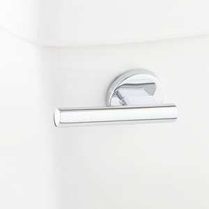 Flush Lev F/ Sh Frtn Mount Clst Cp