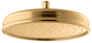 Single Function Showerhead in Vibrant® Brushed Moderne Brass