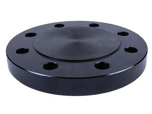 12 in. 150# CS A105 RF Blind Flange Forged Steel Raised Face