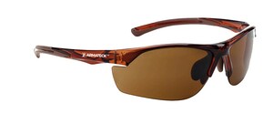 Safety Glasses with Brown Frame