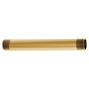 Shwr Arm Line List Items Bg