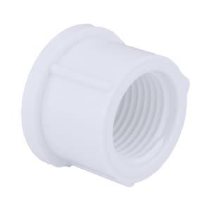 1 Pvc S40 Thrd Cap