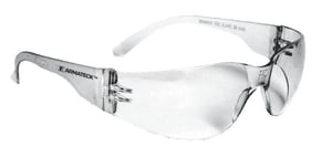 Safety Glasses with Clear Lens