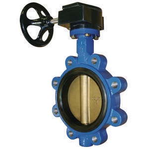 Lf 6 Di Brz Epdm 200# Lug Bfv Go