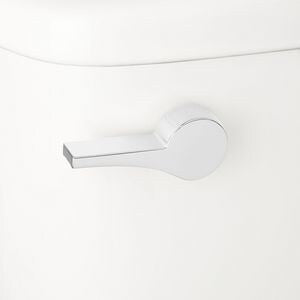 Flush Lev F/ *Braden Clst Cp