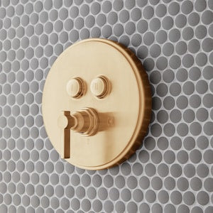 Simple Select P/Bal Vlv Trim Bg
