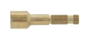 Ext Stem