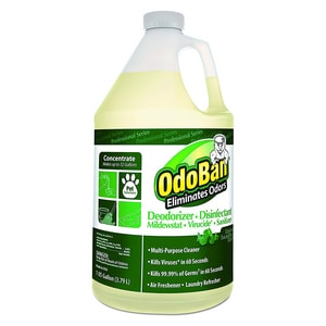 1 Gal Odorban Eucalyptus 4/Ca