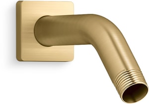 *Cvr* Honesty Shower Arm
