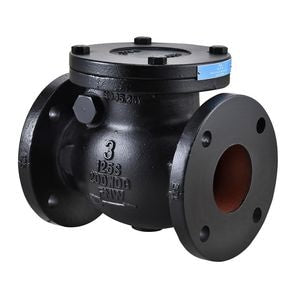 4 in. Cast Iron Flanged Swing Check Valve
