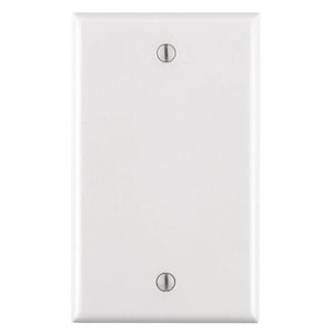 1G Blnk Std Plas Wall Plt Whit