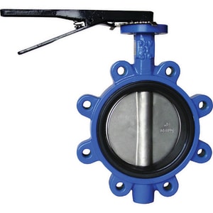 Lf 2-1/2 Di Ss Epdm 255# Lug Bfv