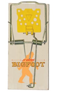 Little Wood Prof Mouse Trap 12/Pk